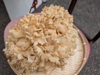 画像は１．3㎏でです
