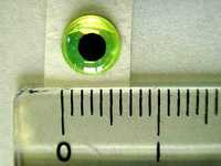 3D molded eye 6mm L-Green