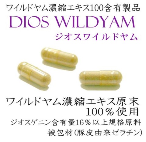 【3個セット】 DIOS ジオスワイルドヤム 注目成分ジオスゲニンの摂取に特化した、ワイルドヤム濃縮エキス100％含有製品 約60日分 ※ジオスゲニン16％以上規格原料使用