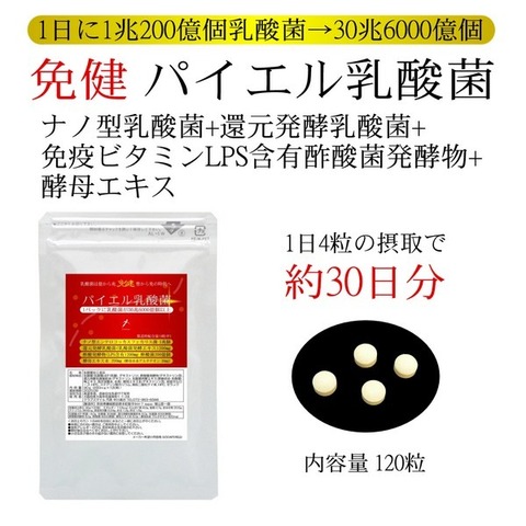 免健 パイエル乳酸菌 250mg×120粒