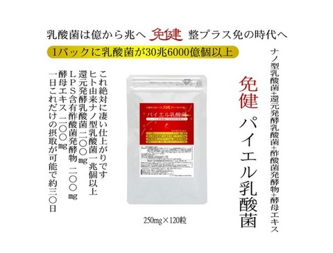 免健 パイエル乳酸菌 250mg×120粒