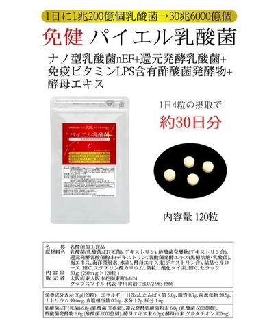 免健 パイエル乳酸菌 250mg×120粒