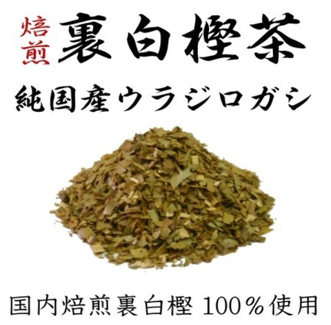 国産 焙煎 裏白樫茶 -ウラジロガシ茶- 200g