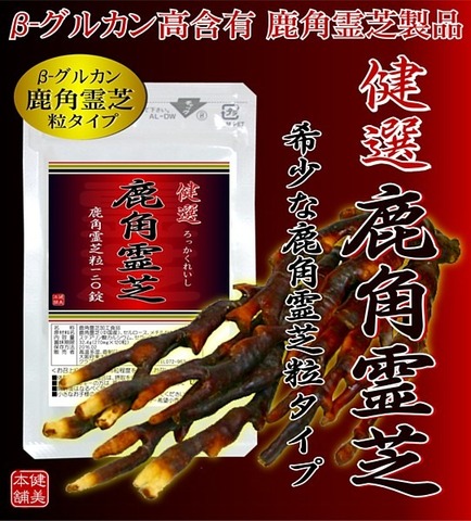 健選 鹿角霊芝粒 270mg×120粒