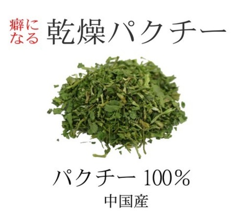 乾燥 パクチー 300g