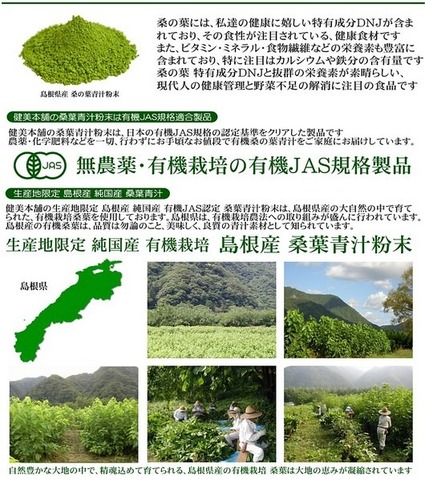 島根県産 有機JAS  桑の葉青汁粉末100g