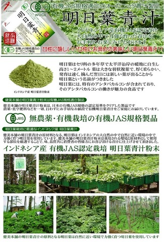 有機JAS あしたば 新芽 明日葉青汁粉末 100g 