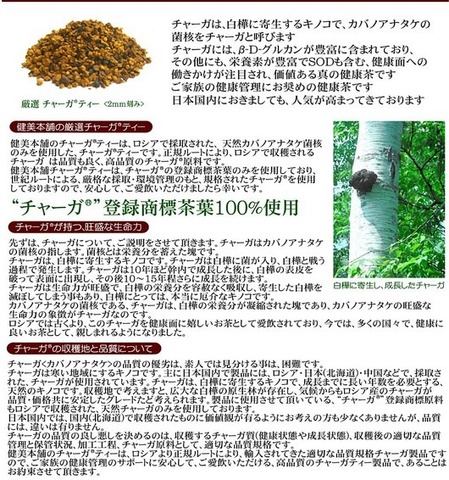 免健 チャーガティー -白樺の精茶- 100g