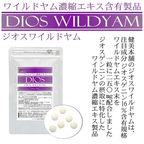 ジオス ワイルドヤム濃縮エキス粒 275mg×90粒