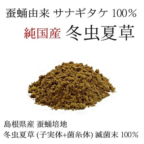 島根県産  冬虫夏草 30g 蚕蛹由来 サナギタケ種 コルジセピン含有 ロッカクレイシ 子実体+菌糸体 島根県産