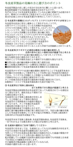 島根県産  冬虫夏草 30g 蚕蛹由来 サナギタケ種 コルジセピン含有 ロッカクレイシ 子実体+菌糸体 島根県産