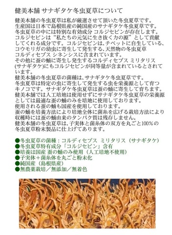 島根県産  冬虫夏草 30g 蚕蛹由来 サナギタケ種 コルジセピン含有 ロッカクレイシ 子実体+菌糸体 島根県産