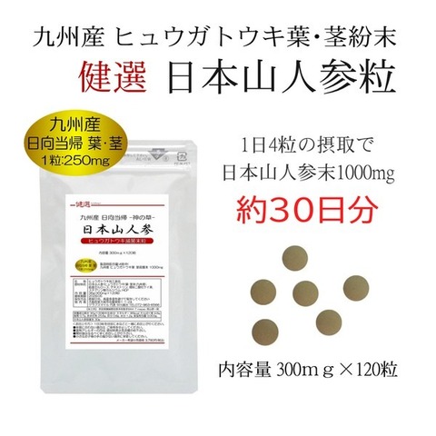 九州産 日本山人参粒 -日向当帰粒- 300mg×120粒  ヒュウガトウキ粒