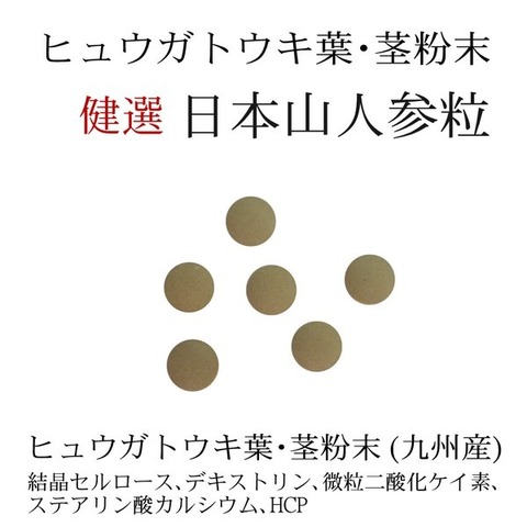 九州産 日本山人参粒 -日向当帰粒- 300mg×120粒  ヒュウガトウキ粒