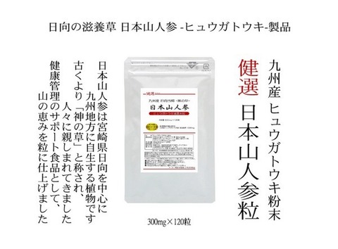 九州産 日本山人参粒 -日向当帰粒- 300mg×120粒  ヒュウガトウキ粒