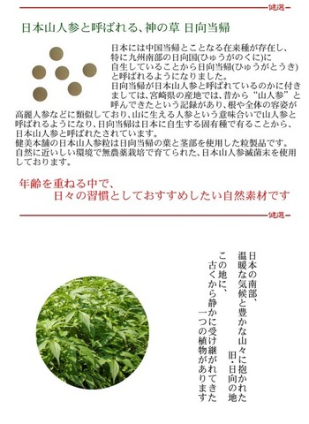 九州産 日本山人参粒 -日向当帰粒- 300mg×120粒  ヒュウガトウキ粒