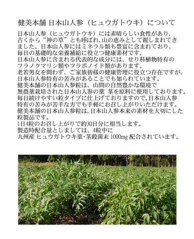九州産 日本山人参粒 -日向当帰粒- 300mg×120粒  ヒュウガトウキ粒