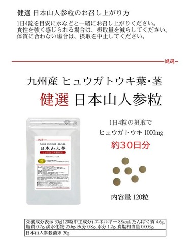 九州産 日本山人参粒 -日向当帰粒- 300mg×120粒  ヒュウガトウキ粒