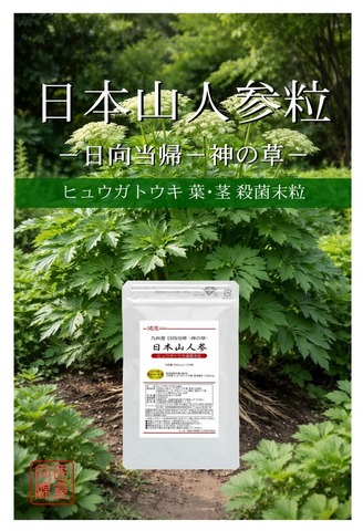 九州産 日本山人参粒 -日向当帰粒- 300mg×120粒  ヒュウガトウキ粒