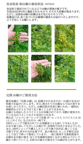 奈良県産 完熟 山椒 -さんしょう- 15g 