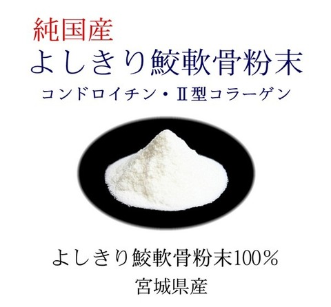 宮城県産 純粋 よしきり鮫軟骨粉末 50g 年齢と共に不足が心配な軟骨成分をリアルに補給 ムコ多糖の宝庫 自然な形でコンドロイチン硫酸、2型コラーゲンが含まれた、ヨシキリ サメ軟骨粉末