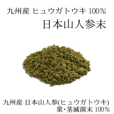 純国産 日本山人参粉末 - 日向当帰 - 60g  ヒュウガトウキ　 殺菌粉末