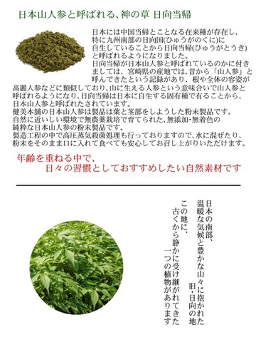 純国産 日本山人参粉末 - 日向当帰 - 60g  ヒュウガトウキ　 殺菌粉末