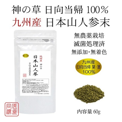 純国産 日本山人参粉末 - 日向当帰 - 60g  ヒュウガトウキ　 殺菌粉末