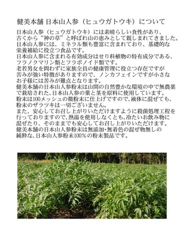 純国産 日本山人参粉末 - 日向当帰 - 60g  ヒュウガトウキ　 殺菌粉末