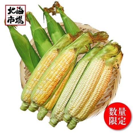 【8月下旬より順次発送】北海道 剣淵産　ドルチェドリーム・ロイシーセット 10本【送料無料】
