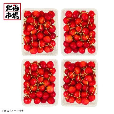 【7月上旬より順次発送】仁木産　さくらんぼ　紅秀峰　秀品　約１.２kg【配送料込】