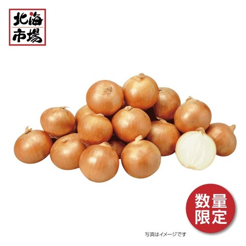 【10月中旬頃より順次】北見産 玉ねぎ 5kg【送料込】