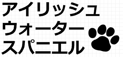 アイリッシュウォータースパニエル