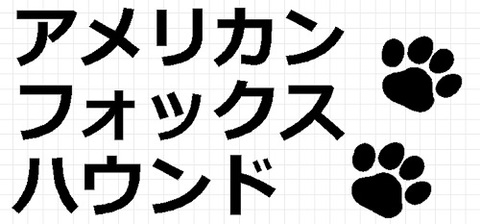 アメリカンフォックスハウンド