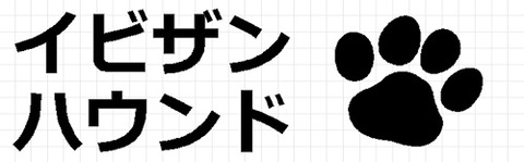 イビザンハウンド