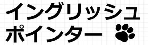 イングリッシュポインター