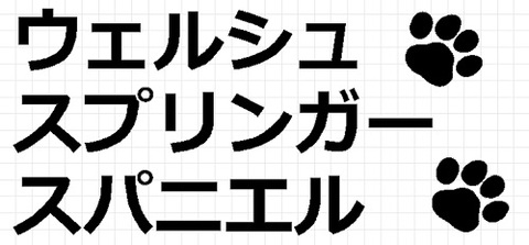 ウェルシュスプリンガースパニエル