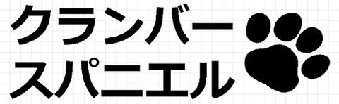 グランパースパニエル