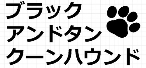 ブラックアンドタンクーンハウンド