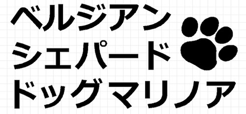 ベルジアンシェパードドッグマリノア