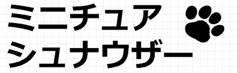 ミニチュアシュナウザー