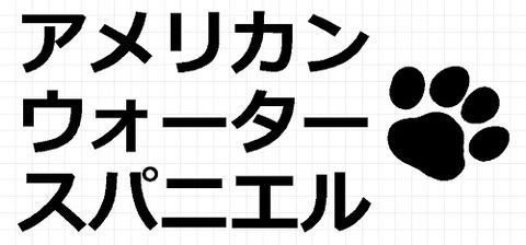 アメリカンウォータースパニエル