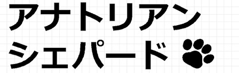 アナトリアンシェパード