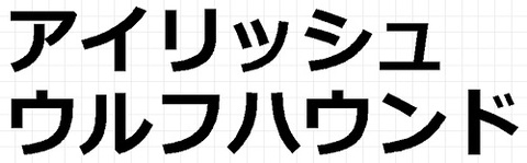 アイリッシュウルフハウンド