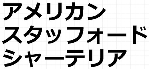 アメリカンスタッフォードシャーテリア