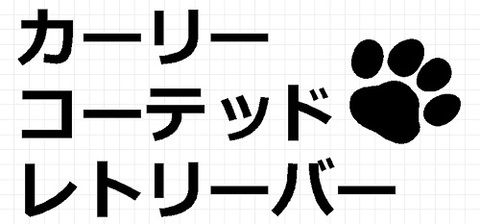 カーリーコーテッドレトリーバー