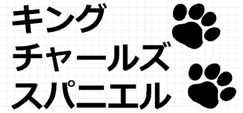 キングチャールズスパニエル