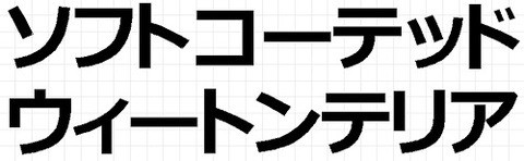 ソフトコーテッドウィートンテリア