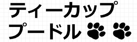 ティーカッププードル