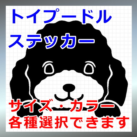 のぞき見犬：トイプードル